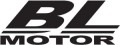 BL_motor_mark.jpg